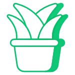 icone aloe vera