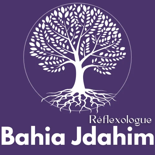 Logo bahia jdahim footer